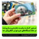 صدور کارت بلیت شخصی‌سازی‌شده در تمام ایستگاه‌های مترو تهران فراهم شد